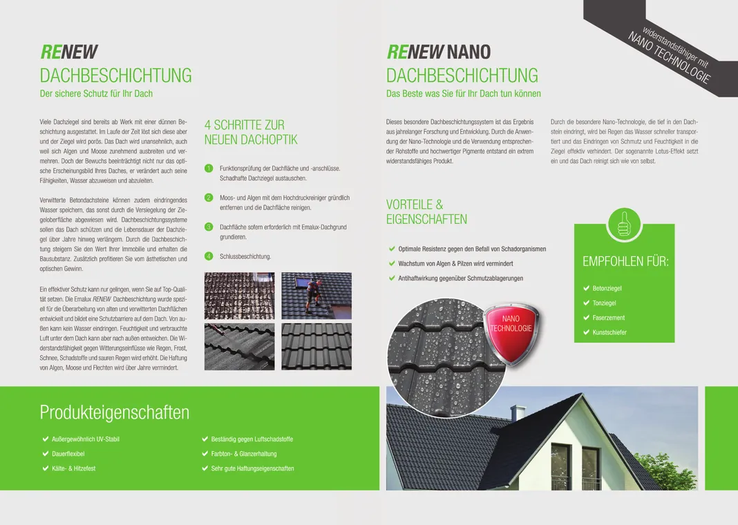 Flyerdesign Kundenreferenz Emalux Renew Innen – Fly & Froth